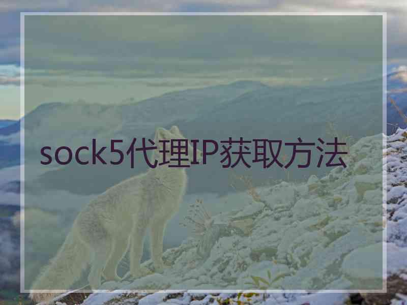 sock5代理IP获取方法