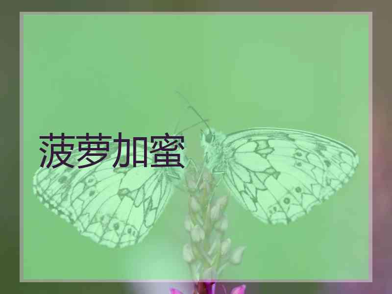 菠萝加蜜