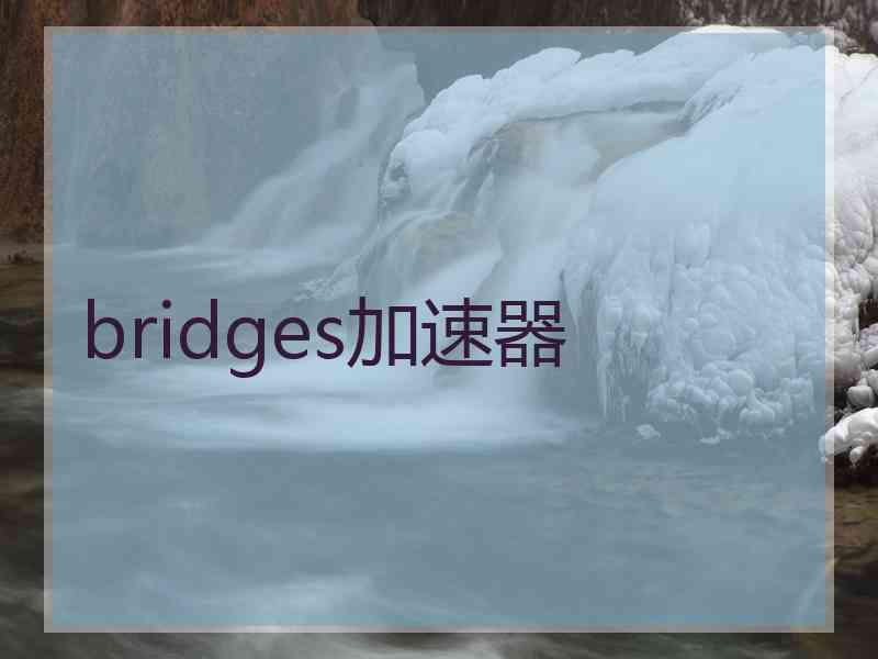 bridges加速器