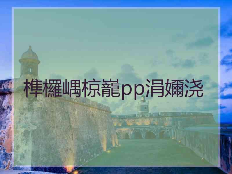 榫欏嵎椋巃pp涓嬭浇