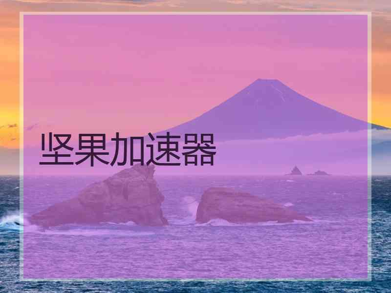 坚果加速器