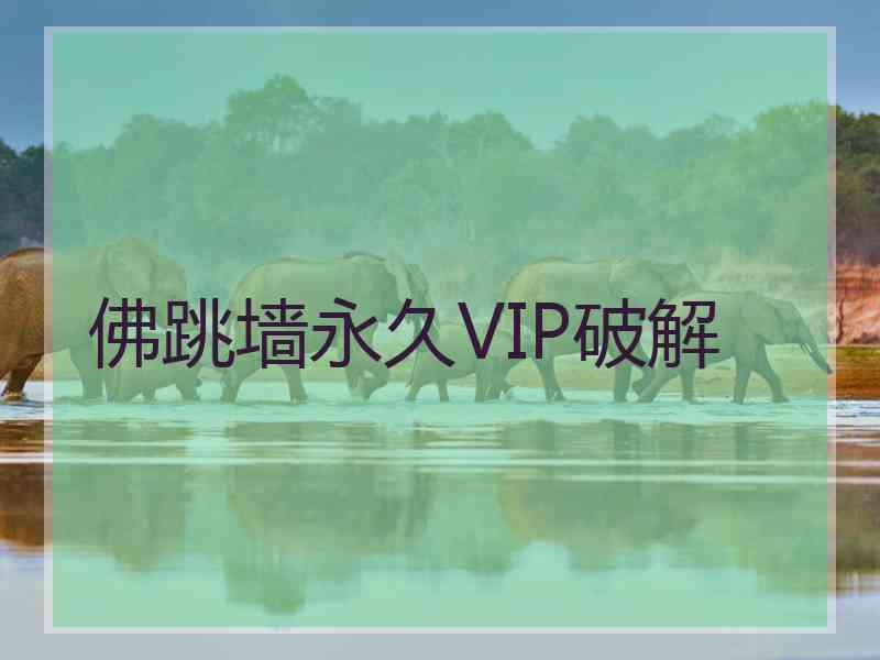 佛跳墙永久VIP破解