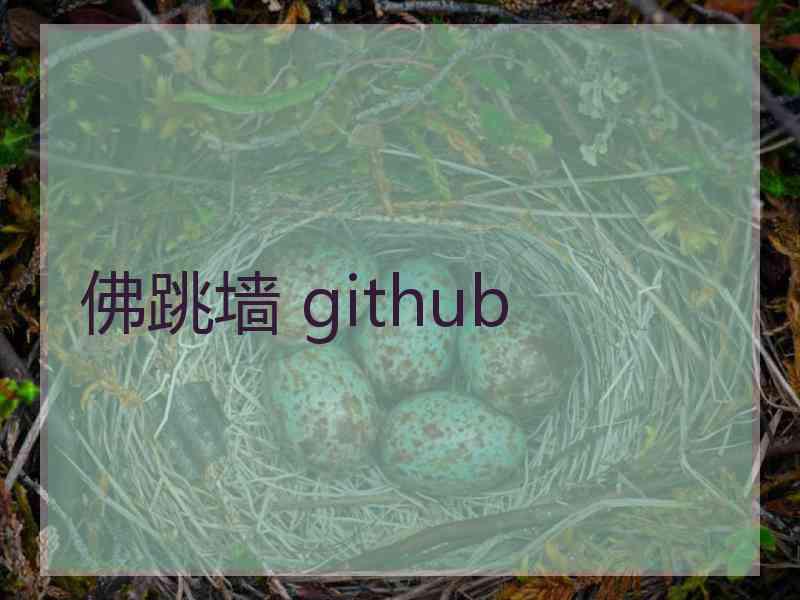 佛跳墙 github