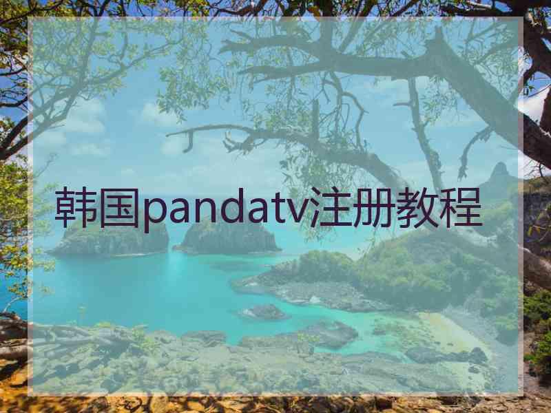 韩国pandatv注册教程