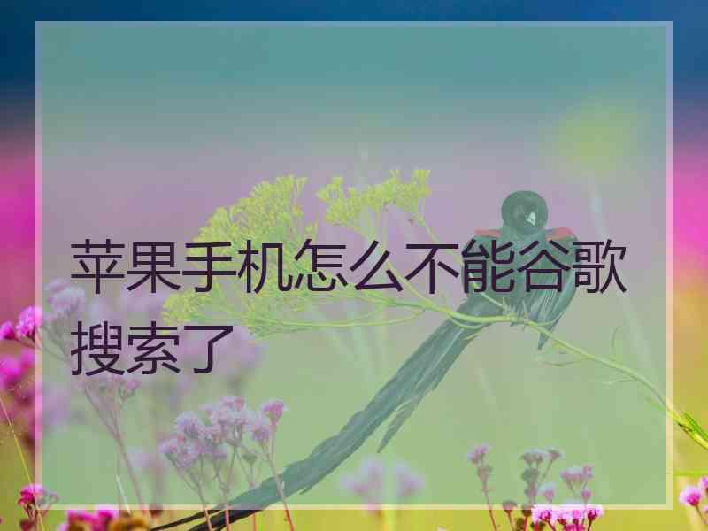 苹果手机怎么不能谷歌搜索了