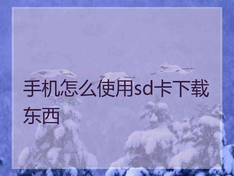 手机怎么使用sd卡下载东西