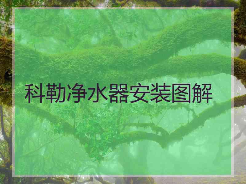 科勒净水器安装图解