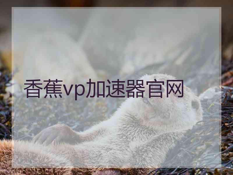 香蕉vp加速器官网