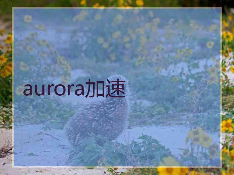 aurora加速