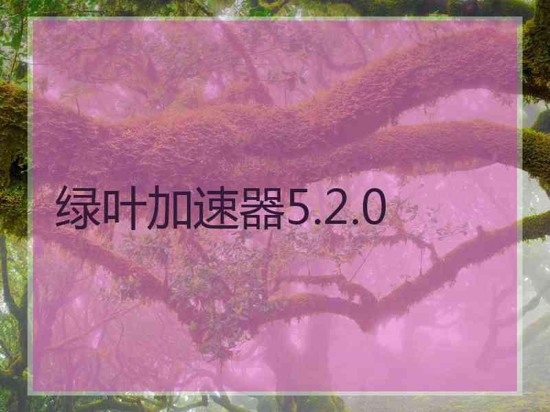 绿叶加速器5.2.0