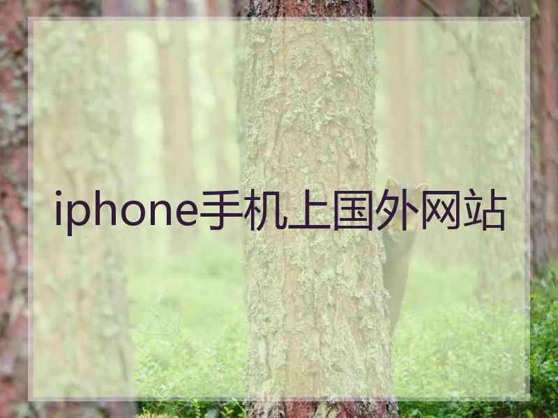 iphone手机上国外网站