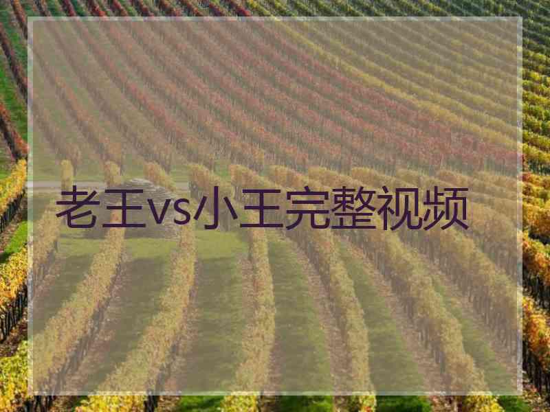 老王vs小王完整视频