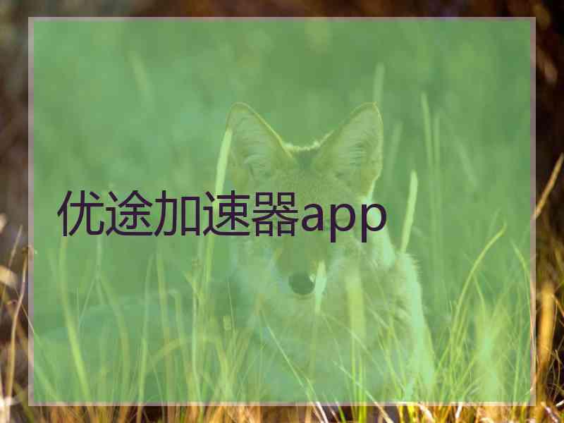 优途加速器app