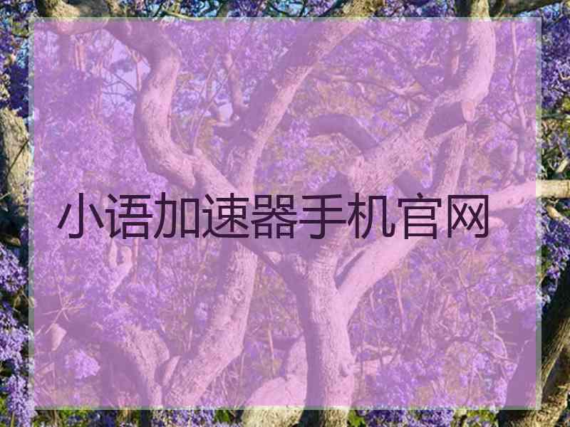 小语加速器手机官网