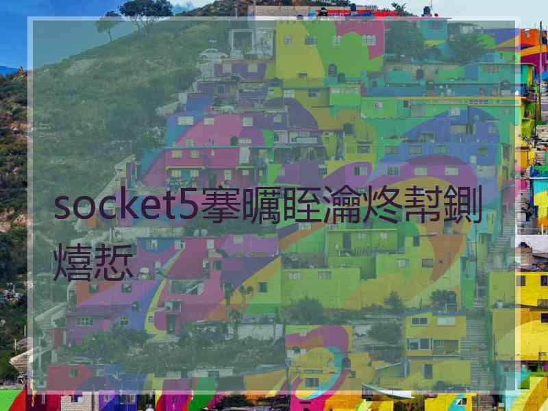 socket5搴曞眰瀹炵幇鍘熺悊