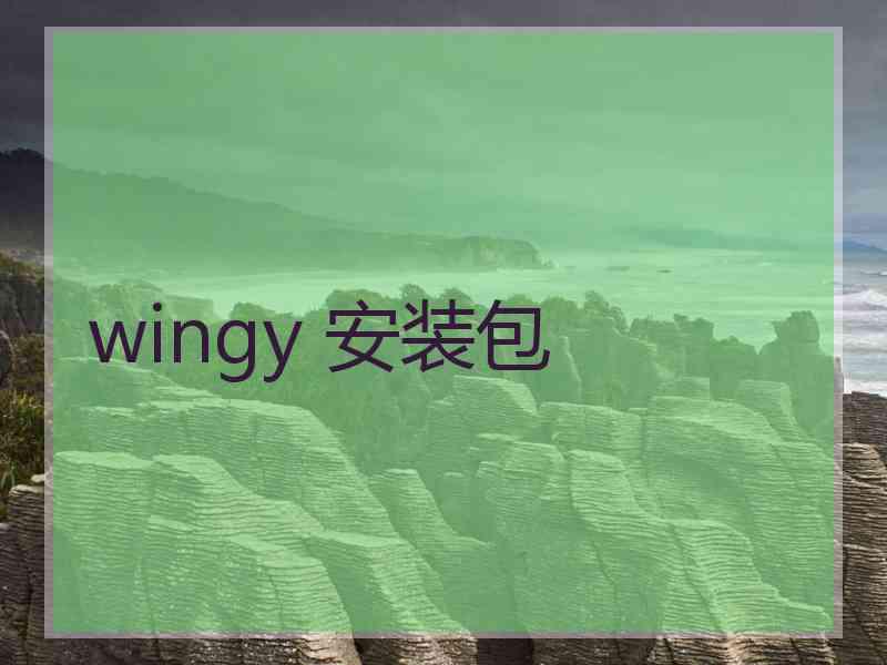 wingy 安装包