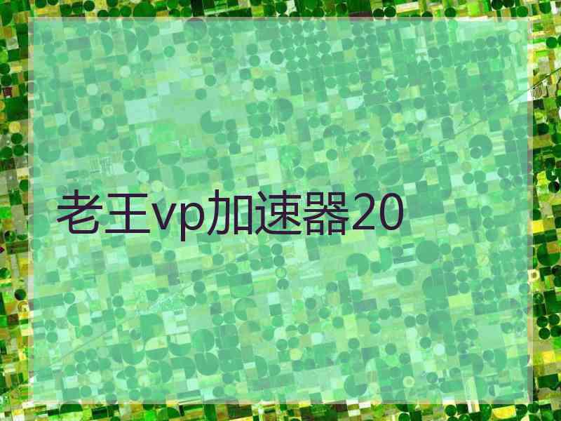 老王vp加速器20