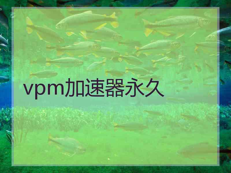 vpm加速器永久