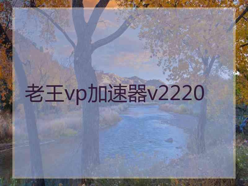 老王vp加速器v2220