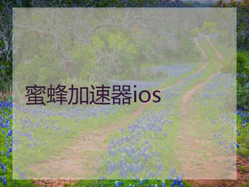 蜜蜂加速器ios