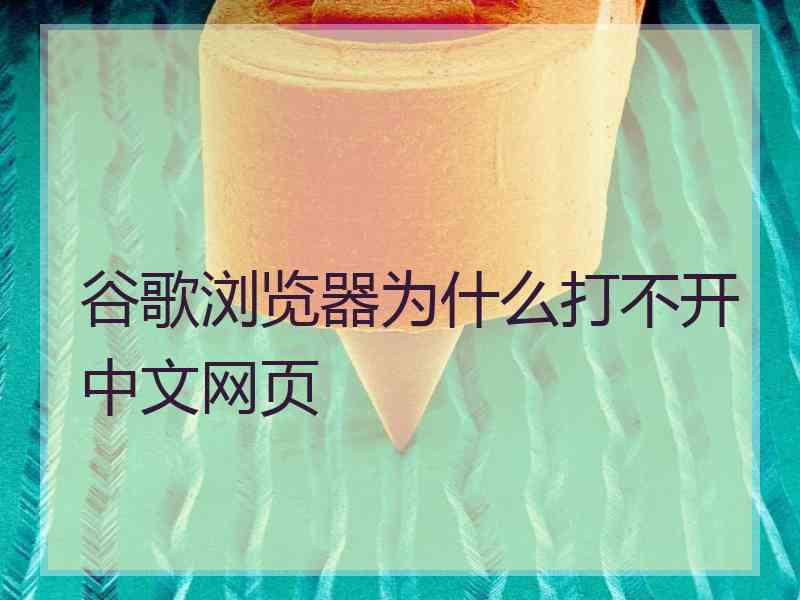 谷歌浏览器为什么打不开中文网页