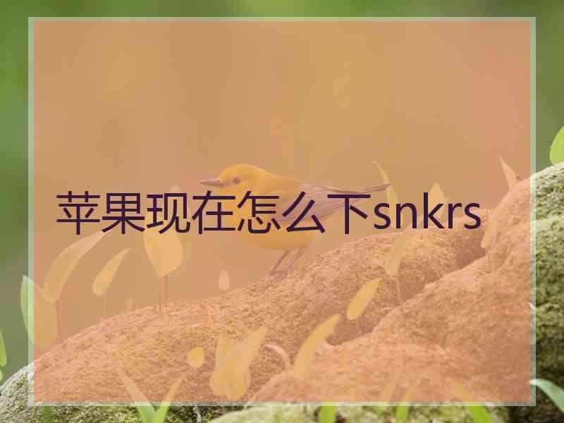 苹果现在怎么下snkrs