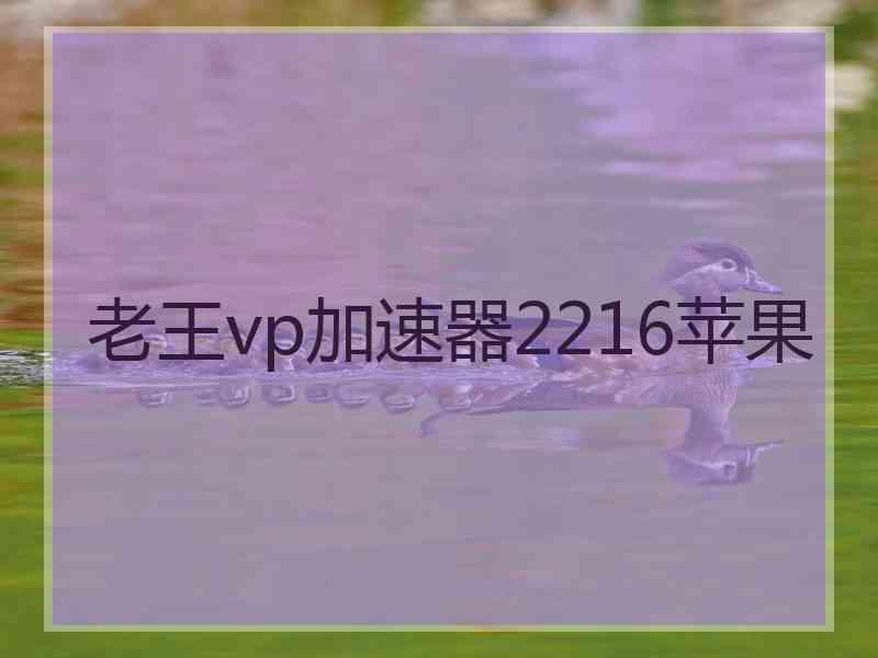 老王vp加速器2216苹果