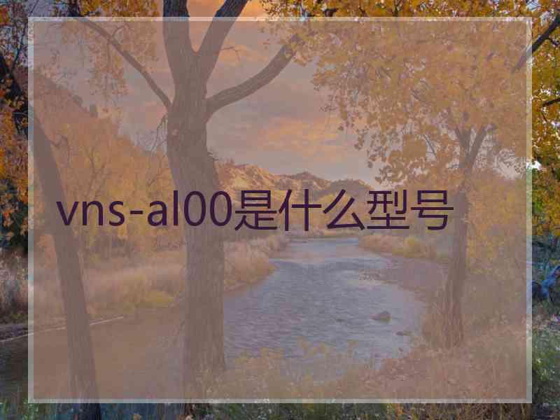 vns-al00是什么型号