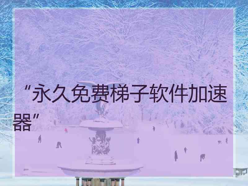 “永久免费梯子软件加速器”