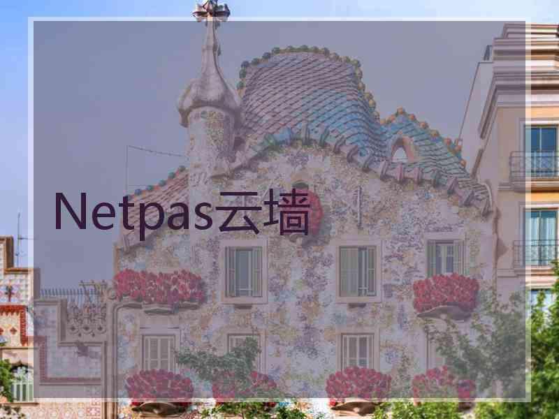 Netpas云墙