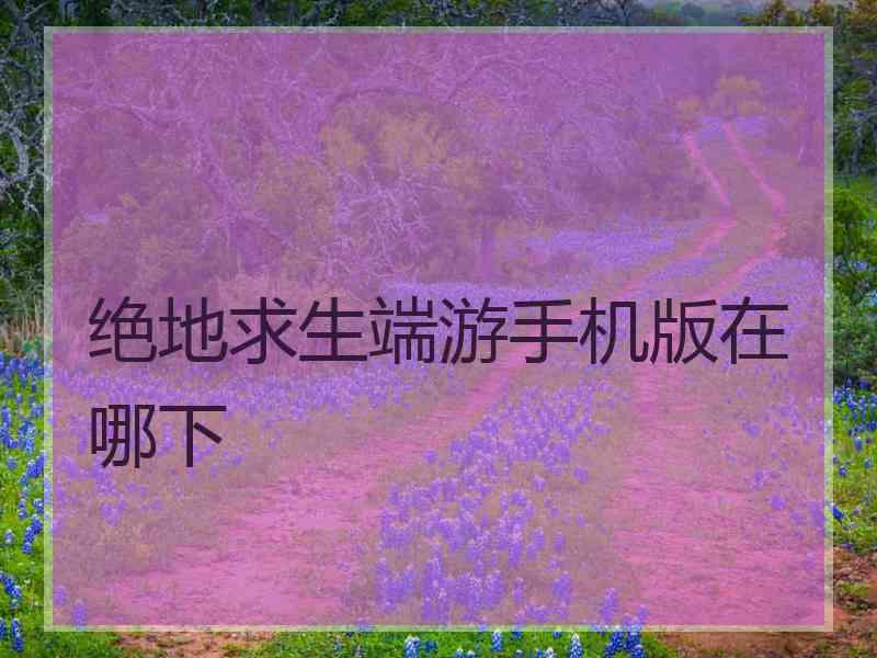 绝地求生端游手机版在哪下