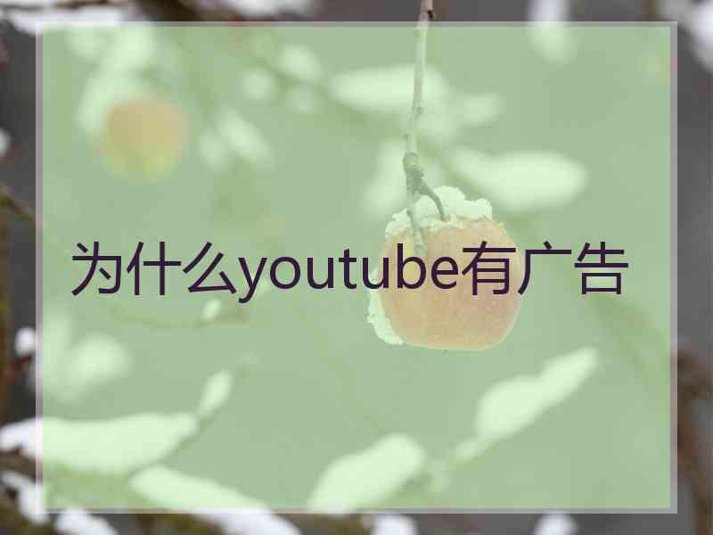 为什么youtube有广告