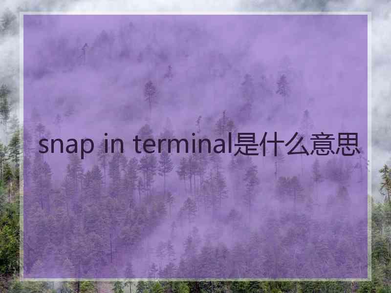 snap in terminal是什么意思