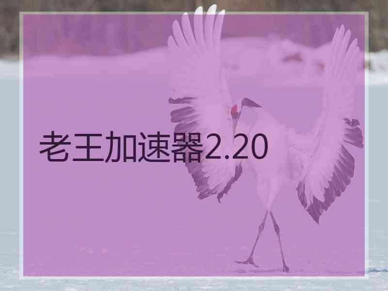 老王加速器2.20