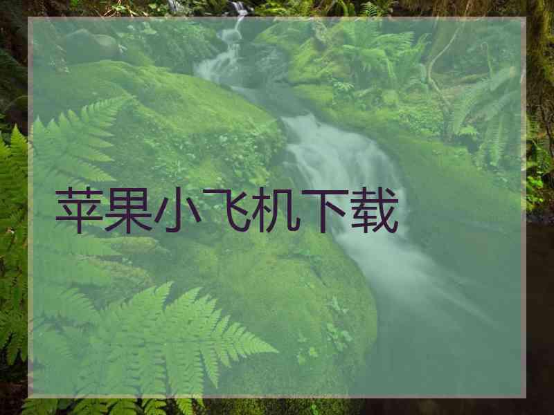 苹果小飞机下载