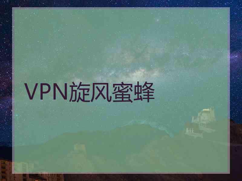 VPN旋风蜜蜂