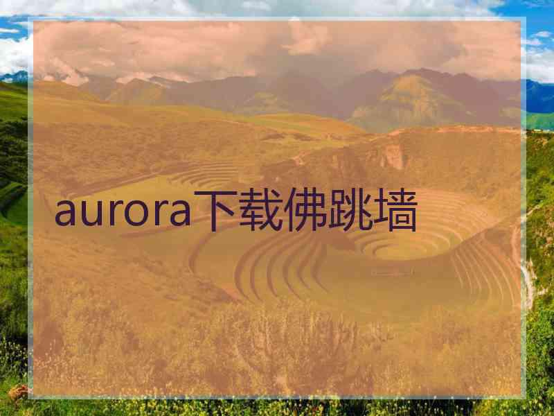 aurora下载佛跳墙