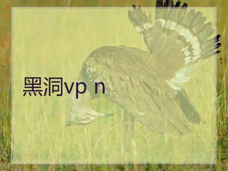 黑洞vp n