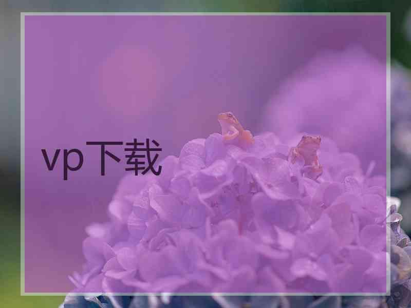 vp下载