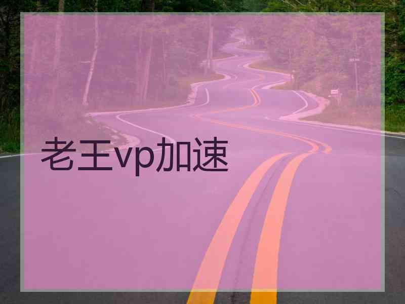 老王vp加速