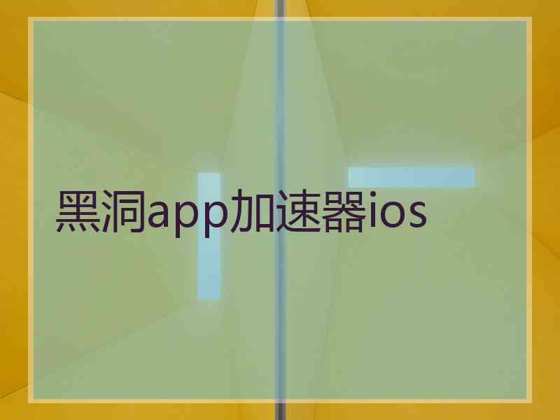 黑洞app加速器ios