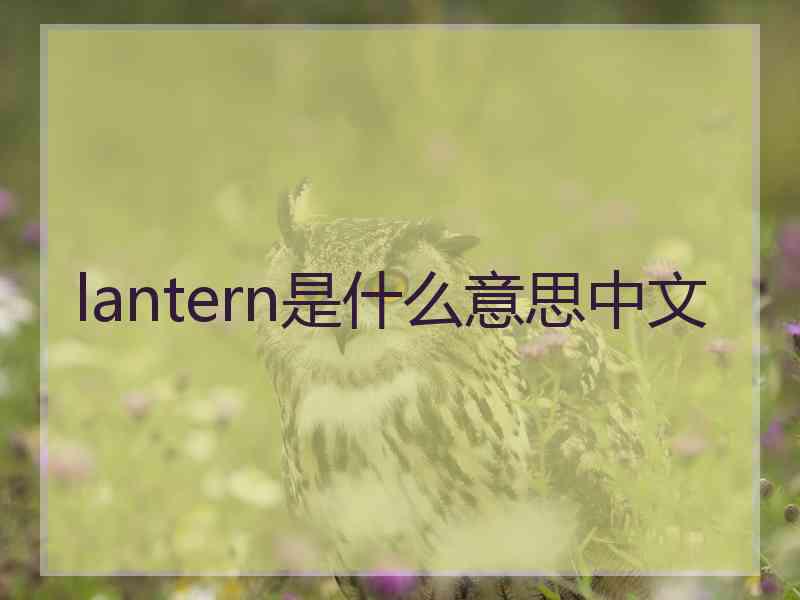 lantern是什么意思中文