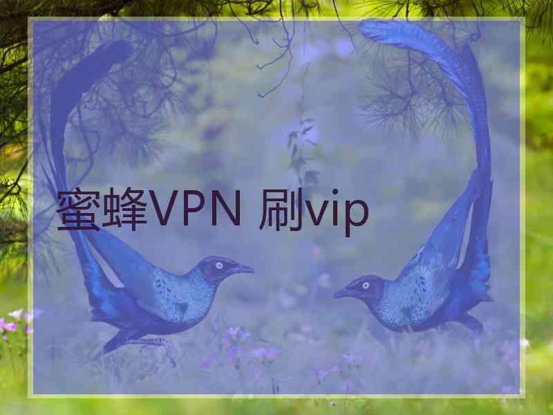 蜜蜂VPN 刷vip