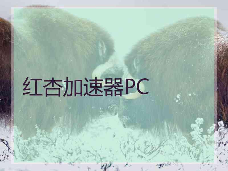 红杏加速器PC