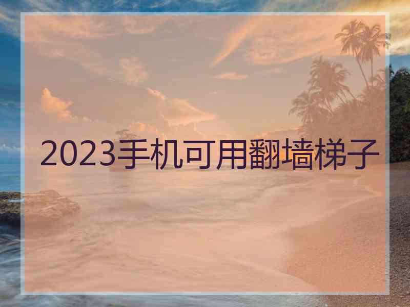 2023手机可用翻墙梯子