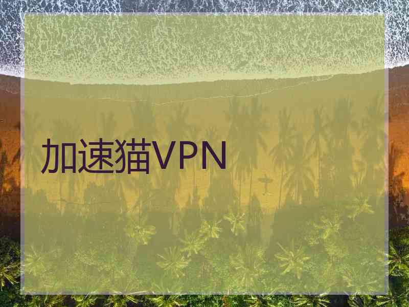 加速猫VPN