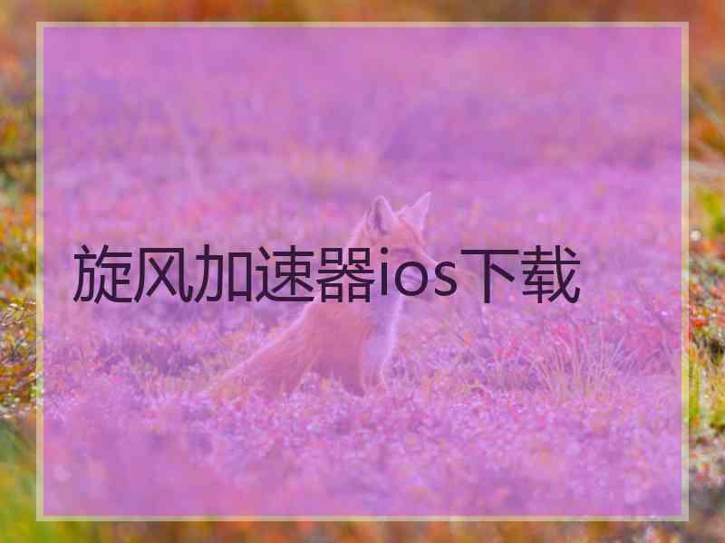 旋风加速器ios下载