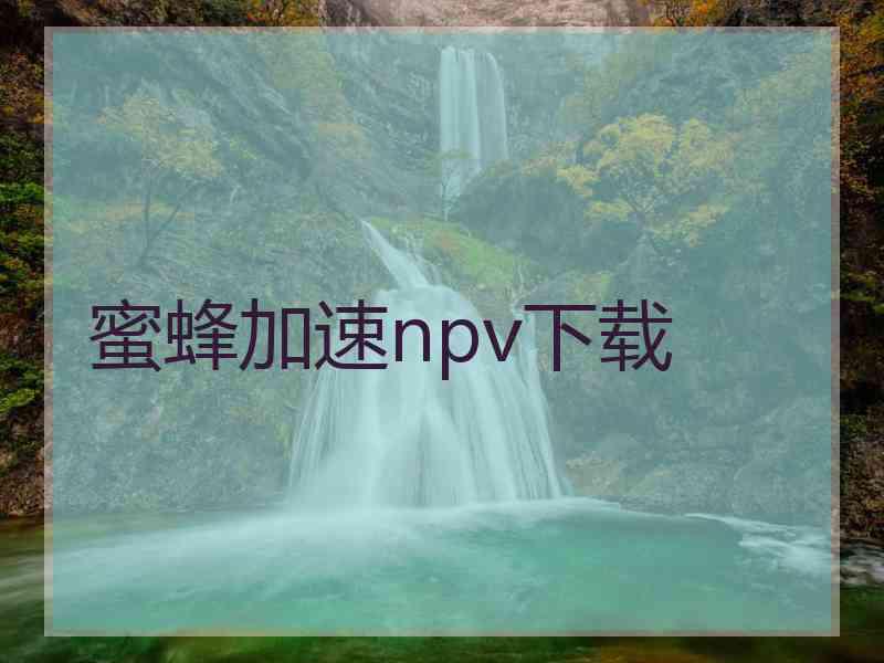 蜜蜂加速npv下载