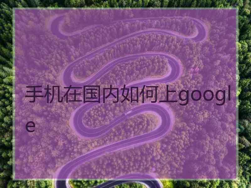 手机在国内如何上google