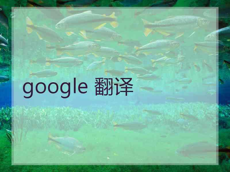 google 翻译